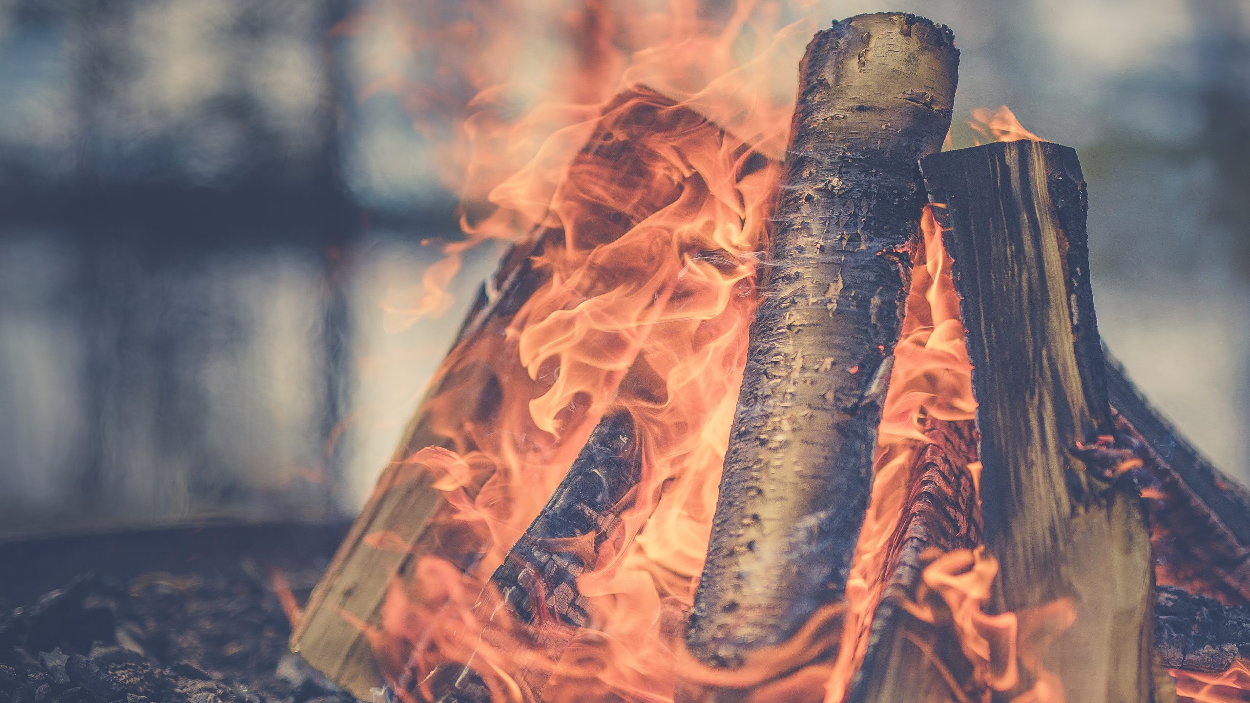 Burning campfire of logs up close